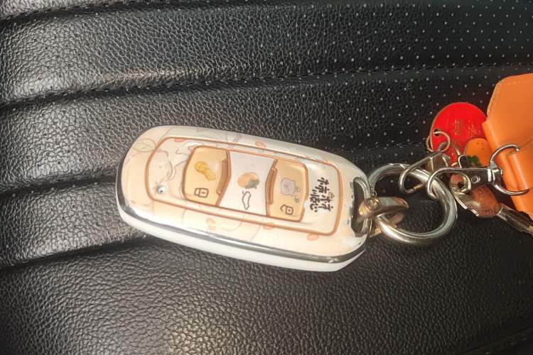 Used Geely Galaxy Panda 2024 Panda Mini 200km Endurance Bear