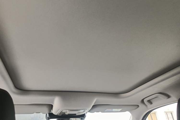 Used Haval DARGO 2021 1.5T DCT Two-Wheel Drive Border Collie - Wangcai Edition Headliner