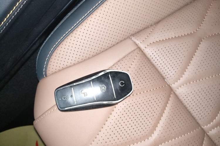 Used BYD Tang New Energy 2023 DM-i Champion Edition 112KM Prestige Model