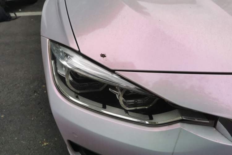 Used BMW 3 Series 2017 318Li Fashion Model
