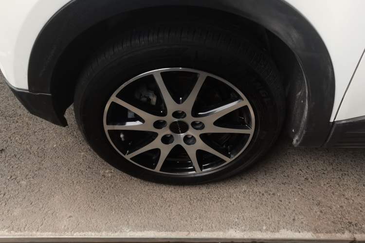 Used Dayun Yuehu 2021 32.85 kWh Two-Wheel-Drive Sprite Version
