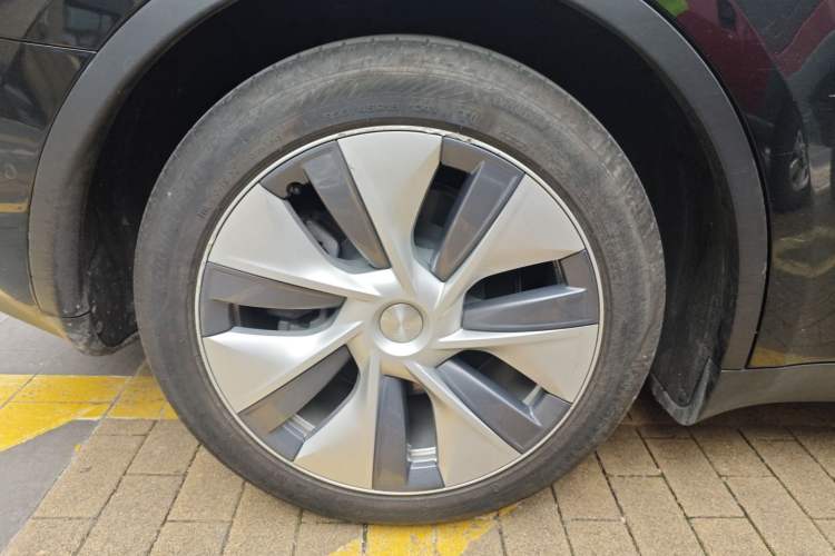 Used Tesla Model Y 2021 Standard Range Rear-Wheel Drive Version