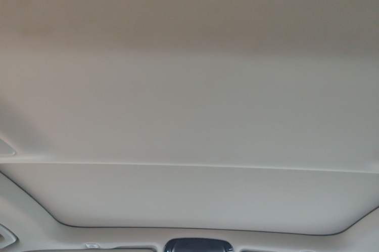 Used BMW 5 Series New Energy 2019 530Le Luxury Package
