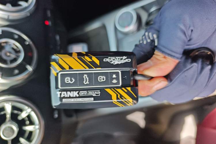 Used Tank 300 2024 2.0T Conqueror