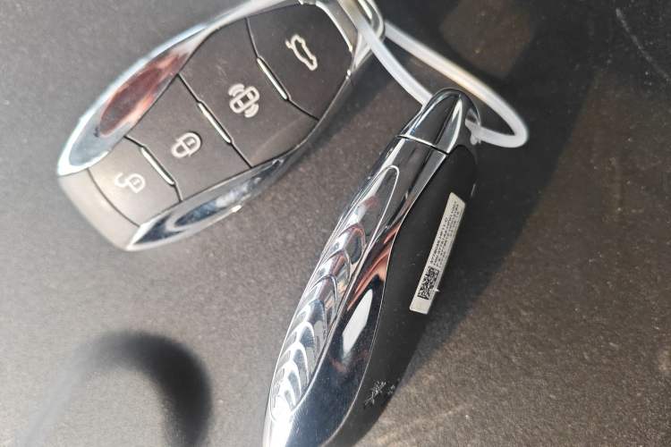 Used Hongqi H9 2025 2.0T Two-Wheel Drive Flagship Luxury Business Edition 5 Seats
