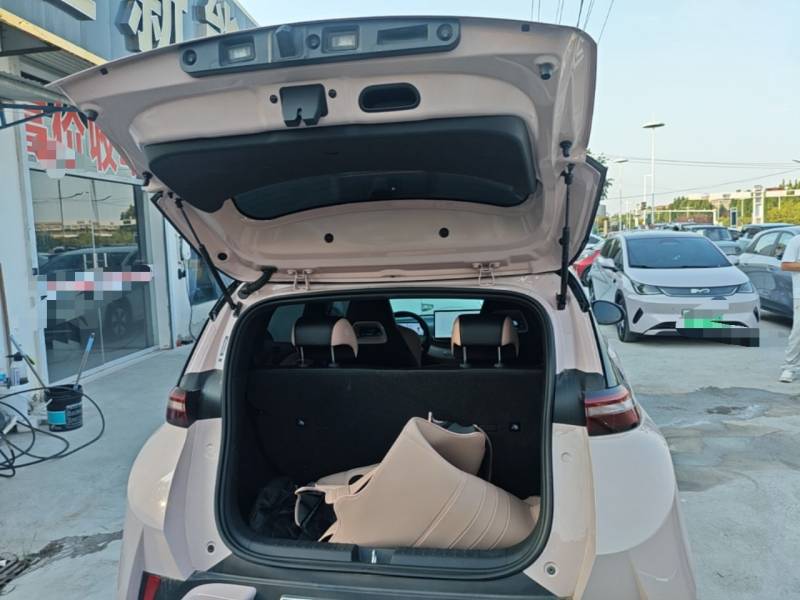 Used BYD Seagull 2025 Smart Drive Version 305 km Freedom Edition — 18