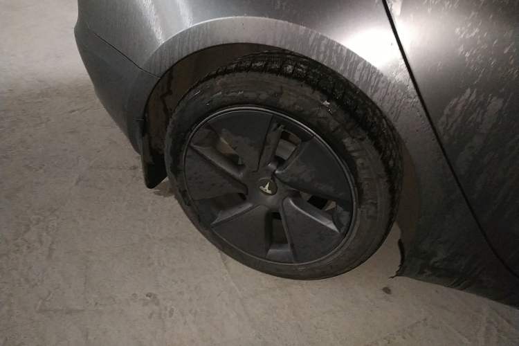 Used Tesla Model 3 2022 Rear-Wheel-Drive Version