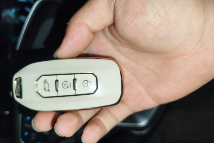 Used Ford Territory 2019 EcoBoost 145 CVT Prestige PLUS Model China V Standard
