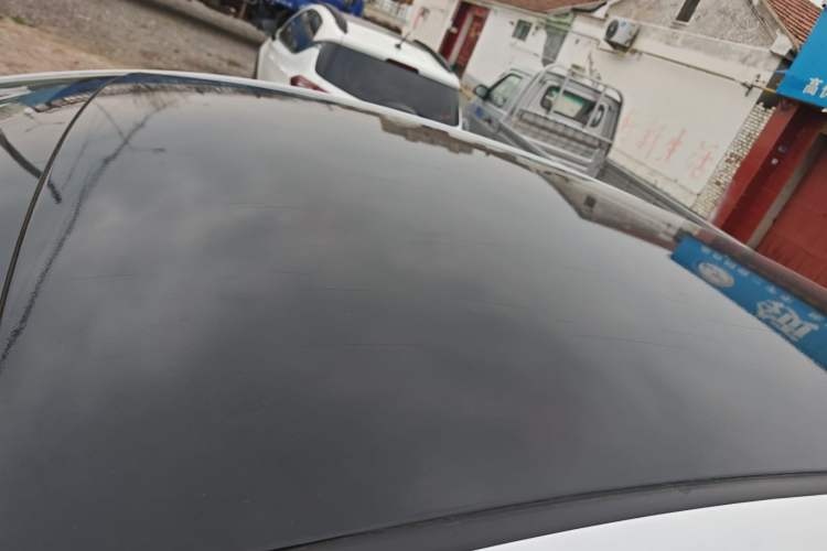 Used Geometry EX3 Kung Fu Cow 2021 Tough Bull Cow Roof