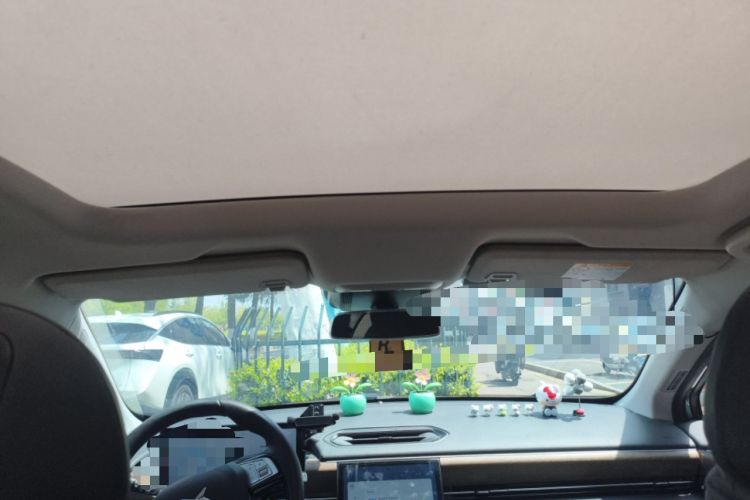 Used XPeng P5 2024 500 Pro Edition Headliner