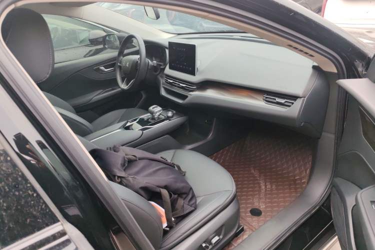 Used Hongqi E-QM5 2021 Charging Version Flagship Edition Right Front Seat