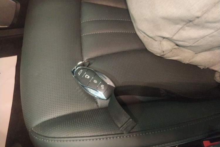 Used Hongqi HQ9 2023 2.0T Smart Connect Flagship Edition
