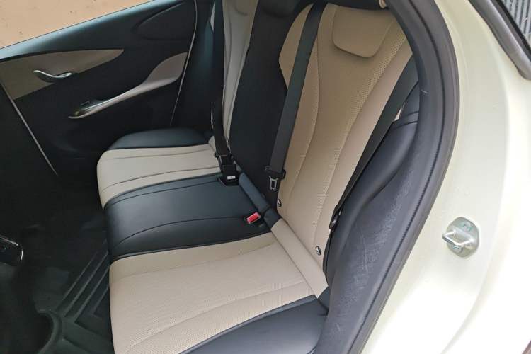 Used BYD Dolphin 2025 Smart Drive Version 420 km Freedom Edition Left Rear Seat