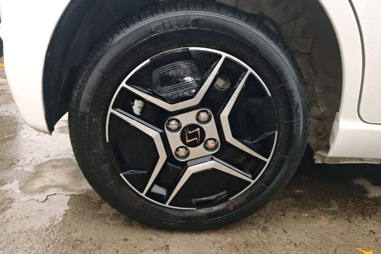 Used SOL E10X 2022 Flower Fairy Design Four-Leaf Clover Exterior 8