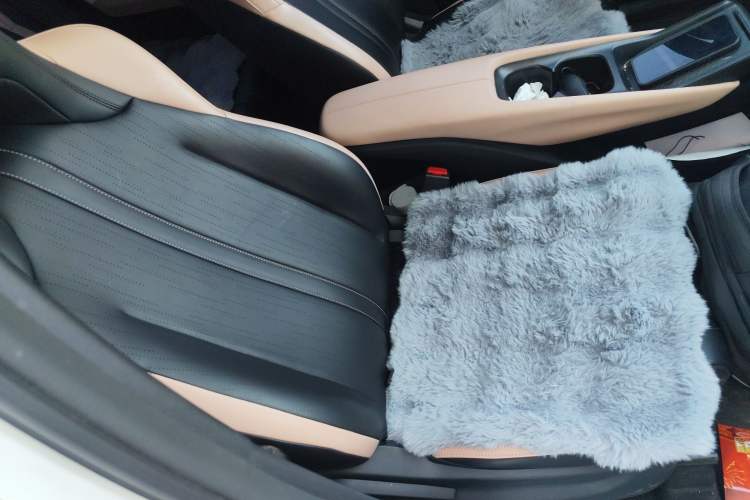 Used BYD Seagull 2025 305 km Free Version Right Front Seat