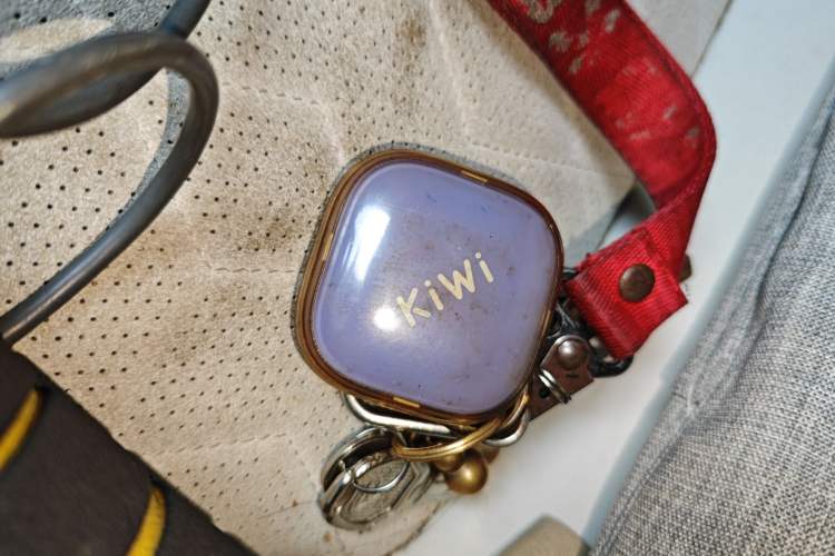 Used Baojun KiWi EV 2023 DJI Edition Lithium Iron Phosphate
