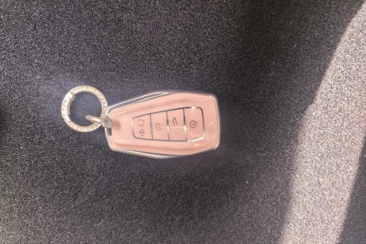 Used Geometry E Firefly 2024 401 km Fluorescent

