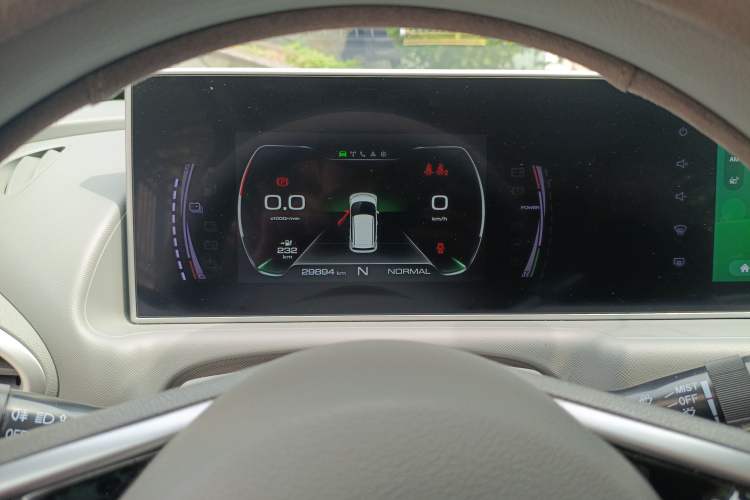 Used ORA White Cat 2020 305 km Luxury Version
