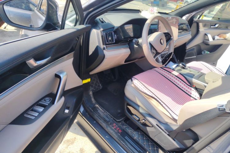 Used BYD Tang New Energy 2024 DM-i Glory Edition 112KM Prestige Model