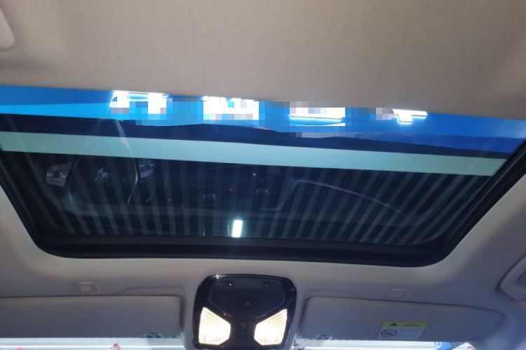 Used BMW 5 Series 2021 530Li Leading Luxury Package Headliner