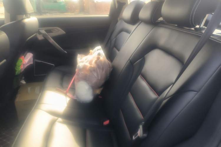 Used Geely Auto Emgrand X7 Sport 2018 2.0L Manual Two-Wheel Drive Zhiya Version Left Rear Seat