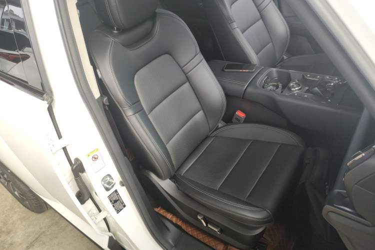 Used Haval H Dog New Energy 2023 DHT-PHEV 105km Tide Electric Version Plus Right Front Seat