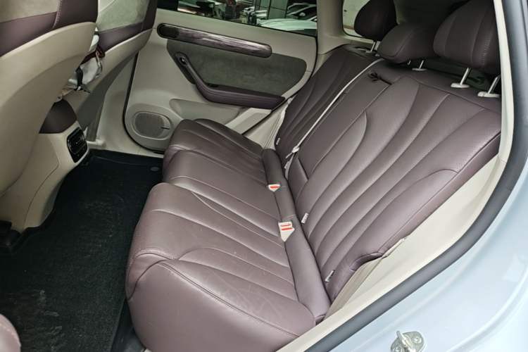 Used Leapmotor C11 2021 Executive Edition 610