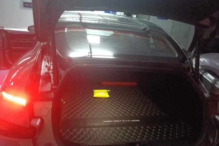 Used XPeng P7 2021 480N