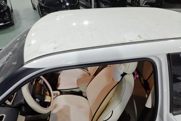 Used Qiyuan Lumin 2023 205km Xiangqin Version
