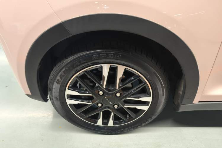 Used Chery New Energy Little Ant 2022 Revised Version Sweet Pink Edition Half-Sugar Version Lithium Iron Phosphate 30.7 kWh 30 kW 301 km