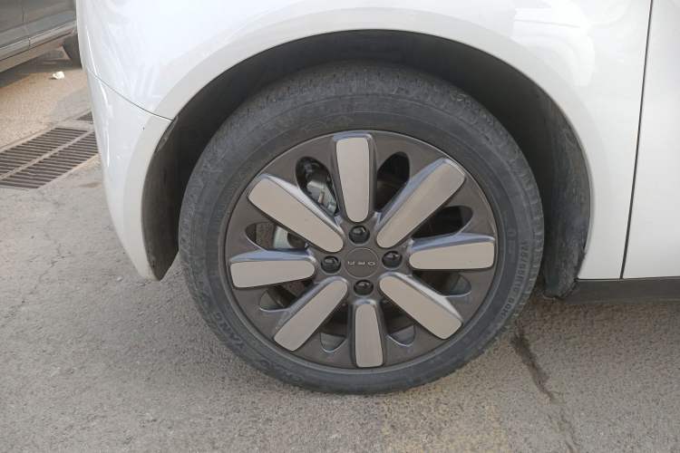 Used ORA Black Cat 2021 351 km Standard Version
