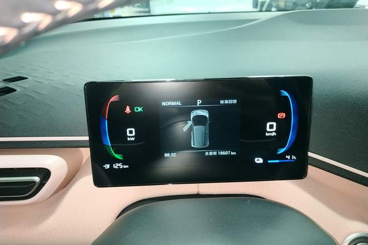 Used BYD Seagull 2024 Honor Edition 305km Freedom Version