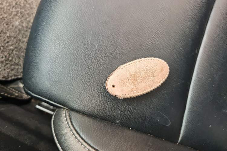 Used Nissan Sylphy 2020 1.6L XL CVT Enjoyment Edition