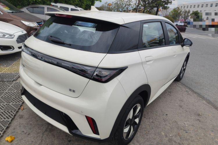 Used BYD Dolphin 2025 420km Fashion Edition Rear Right 45 Deg