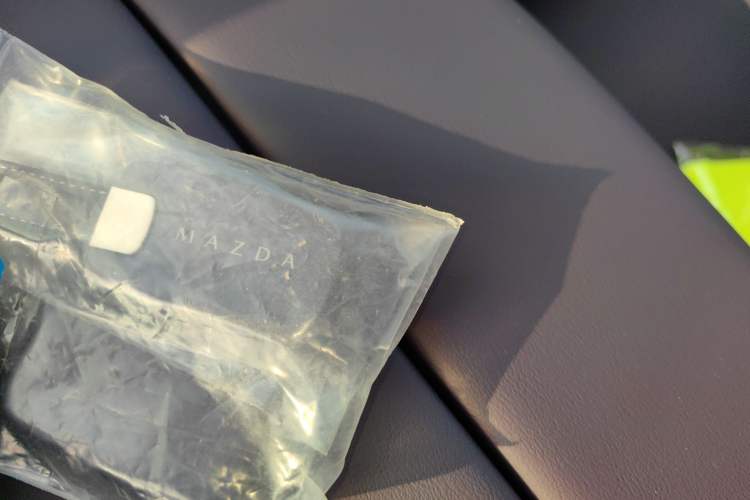 Used Mazda EZ-60 2025 Model Pure Electric 600 Max
