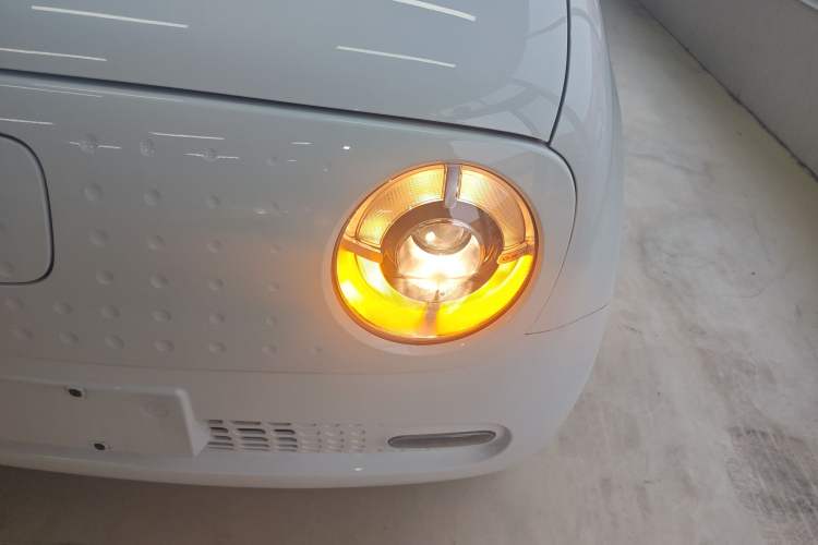 Used ORA Black Cat 2021 351 km Luxury Version