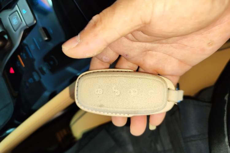 Used Denza D9 2022 DM-i 970 Four-Wheel Drive Flagship Model
