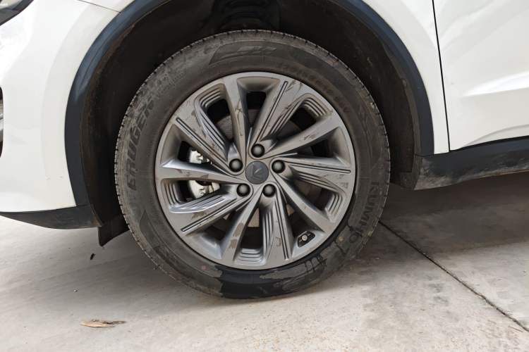 Used Livan Maple 80v PRO 2022 Comfort Edition Standard Range Version