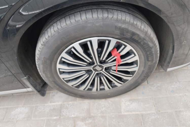 Used BYD Xia 2025 DM-i 1.5T 180km Excellence Model
