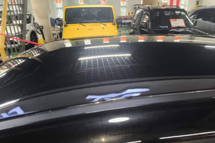 Used ORA Black Cat 2021 351 km Standard Version Roof