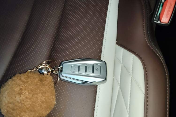 Used Geely Auto Monjaro L 2021 2.0TD DCT EVO Two-Wheel Drive Smart Luxury Version Vehicle Key