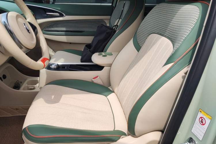 Used ORA Good Cat 2022 400km Standard Range Premium Version Lithium Iron Phosphate Left Front Seat