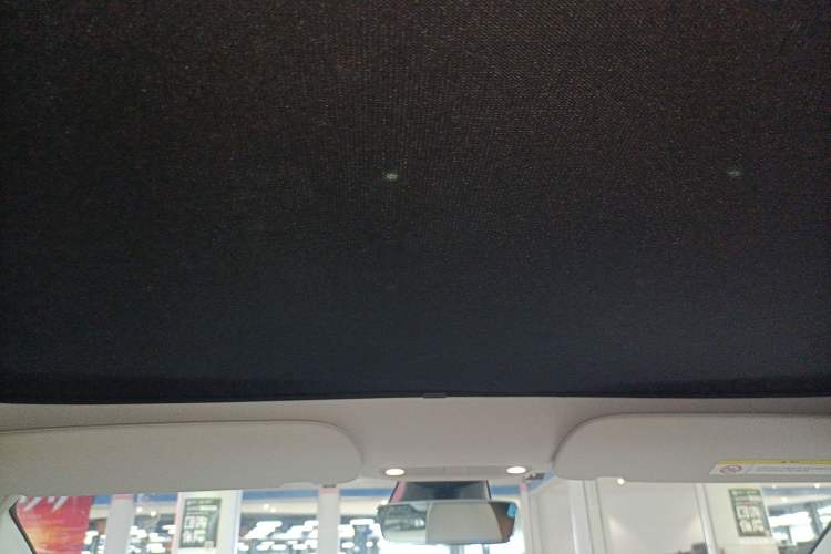 Used Tesla Model 3 2021 Revised Version Standard Range Rear-Wheel Drive Upgraded Edition 3D1 Headliner