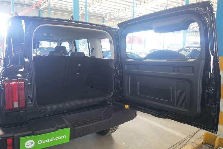 Used Tank 300 2025 2.0T Conqueror
