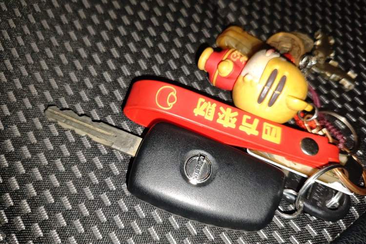 Used Nissan Qashqai 2016 2.0L CVT Elite Edition
