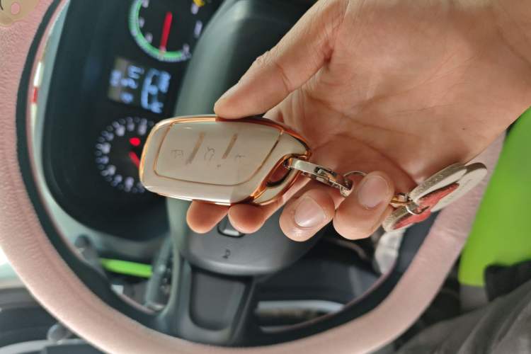 Used Roewe Clever 2021 302 km New Four-Seater Super-Efficient Version Vehicle Key