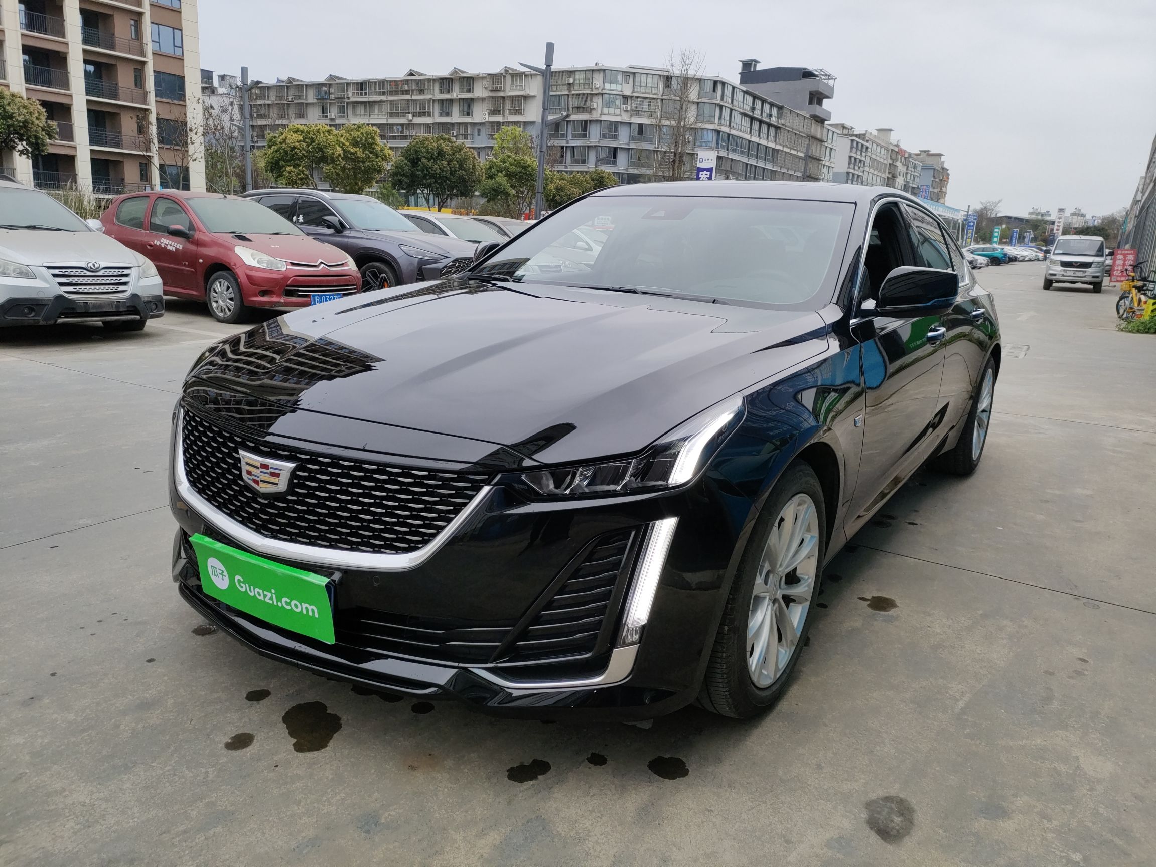 Parte inferior delantera