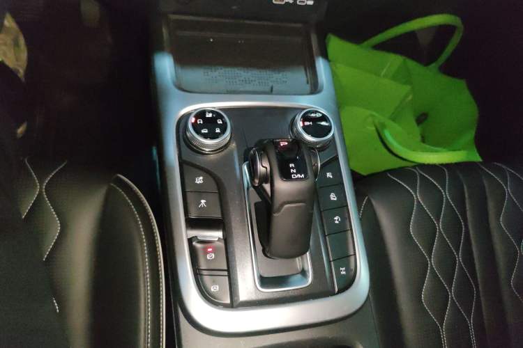 Used Tank 300 2024 2.0T Challenger