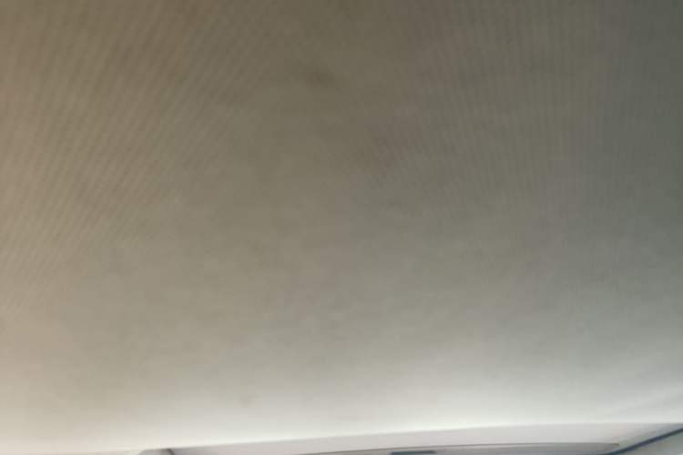 Used Buick Regal 2014 1.6T Fashionable Tech Edition Headliner