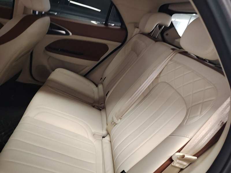 Used ORA Good Cat 2025 Model, 430 km Prestige Version — 17